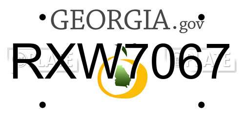 RXW7067 Georgia License Plate