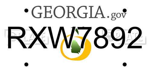 RXW7892 Georgia License Plate