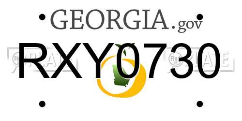 RXY0730 Georgia License Plate