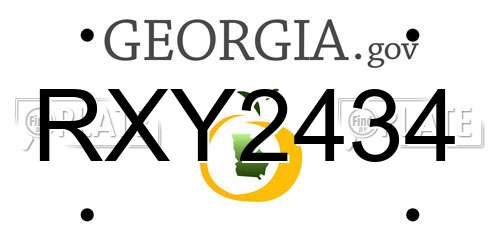 RXY2434 Georgia License Plate