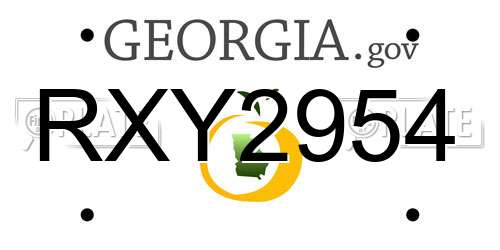 RXY2954 Georgia License Plate