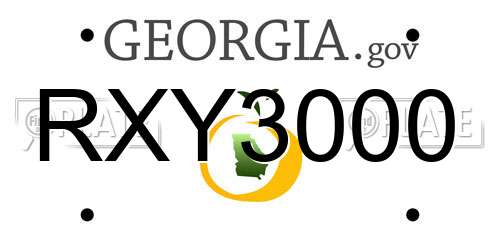 RXY3000 Georgia License Plate