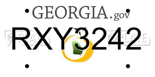 RXY3242 Georgia License Plate