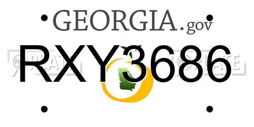 RXY3686 Georgia License Plate
