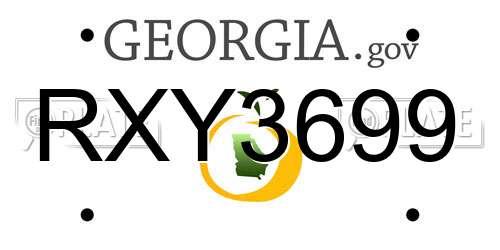 RXY3699 Georgia License Plate