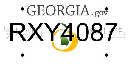 RXY4087 Georgia License Plate
