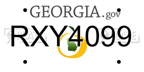 RXY4099 Georgia License Plate