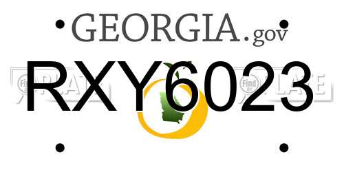RXY6023 Georgia License Plate