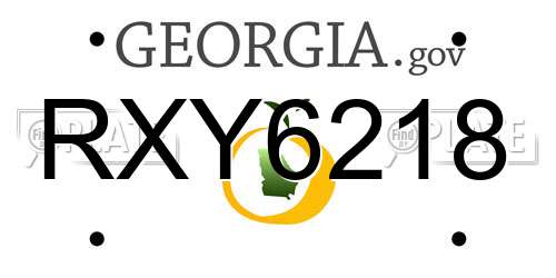 RXY6218 Georgia License Plate