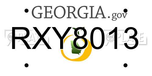 RXY8013 Georgia License Plate