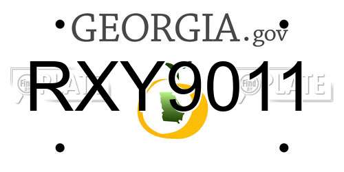 RXY9011 Georgia License Plate