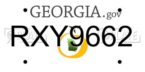 RXY9662 Georgia License Plate