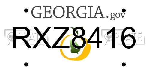 RXZ8416 Georgia License Plate