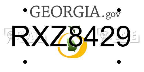 RXZ8429 Georgia License Plate