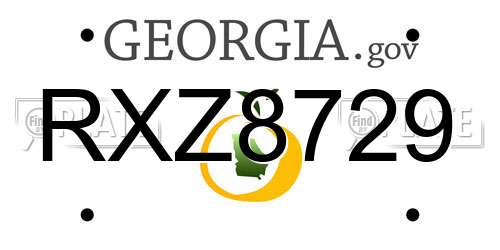 RXZ8729 Georgia License Plate