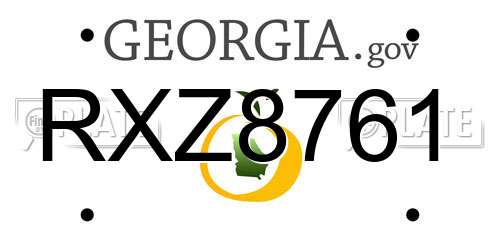 RXZ8761 Georgia License Plate