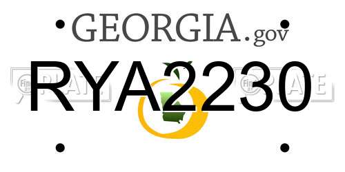 RYA2230 Georgia License Plate