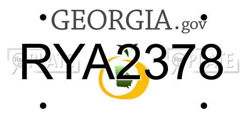 RYA2378 Georgia License Plate