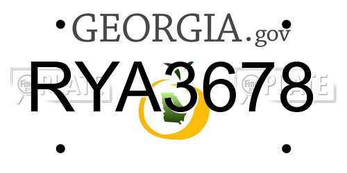 RYA3678 Georgia License Plate