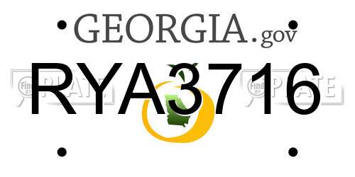 RYA3716 Georgia License Plate