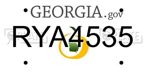 RYA4535 Georgia License Plate