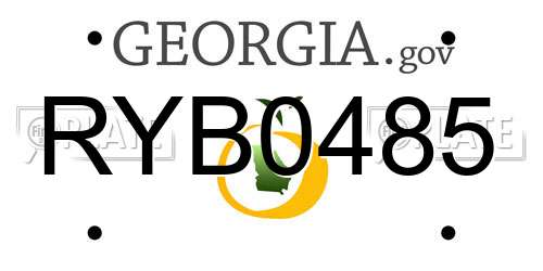 RYB0485 Georgia License Plate
