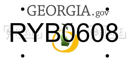 RYB0608 Georgia License Plate