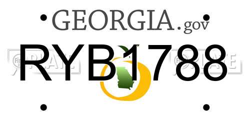 RYB1788 Georgia License Plate