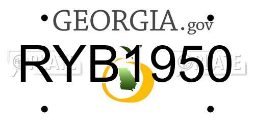 RYB1950 Georgia License Plate