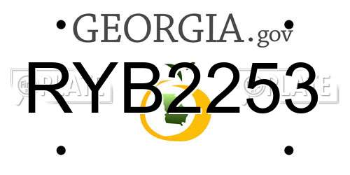 RYB2253 Georgia License Plate