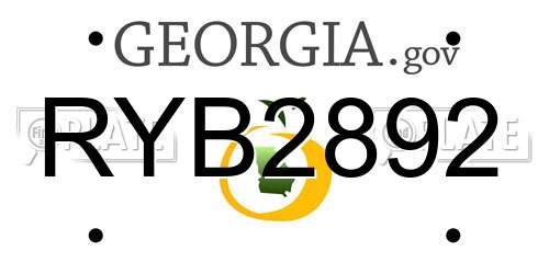 RYB2892 Georgia License Plate