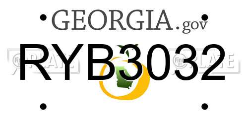 RYB3032 Georgia License Plate