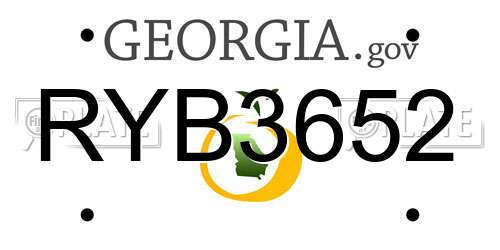 RYB3652 Georgia License Plate