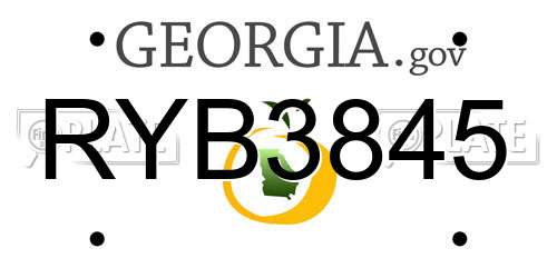 RYB3845 Georgia License Plate