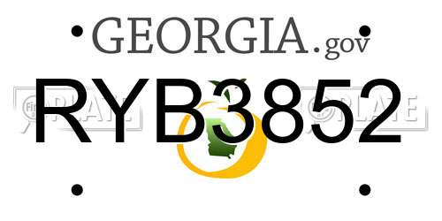 RYB3852 Georgia License Plate