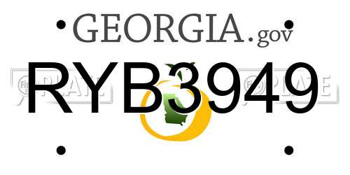 RYB3949 Georgia License Plate