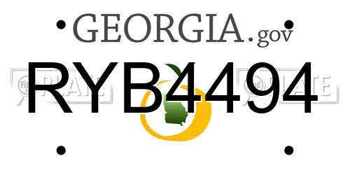 RYB4494 Georgia License Plate