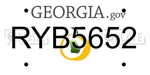 RYB5652 Georgia License Plate
