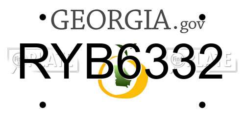 RYB6332 Georgia License Plate