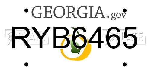 RYB6465 Georgia License Plate