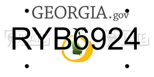 RYB6924 Georgia License Plate