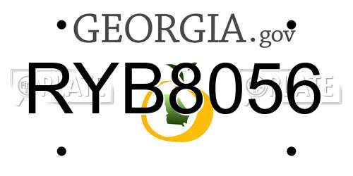 RYB8056 Georgia License Plate
