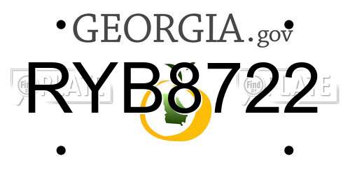 RYB8722 Georgia License Plate