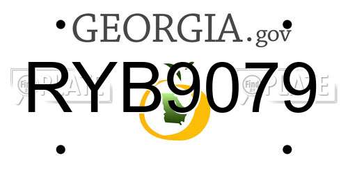 RYB9079 Georgia License Plate