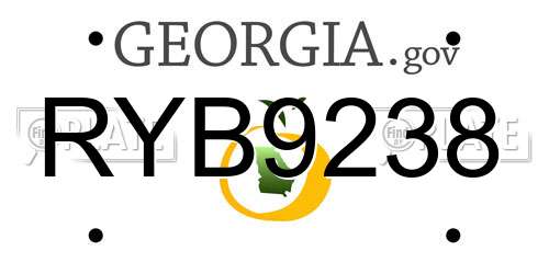 RYB9238 Georgia License Plate