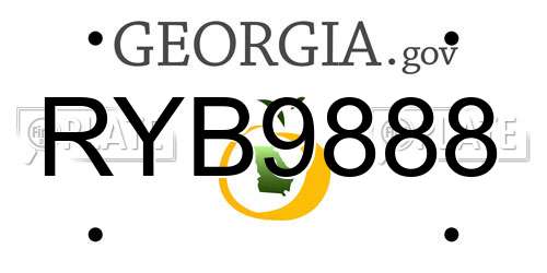 RYB9888 Georgia License Plate