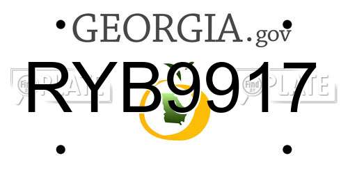 RYB9917 Georgia License Plate