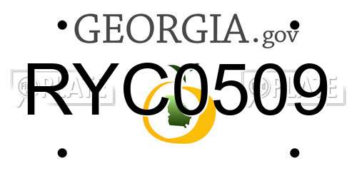 RYC0509 Georgia License Plate