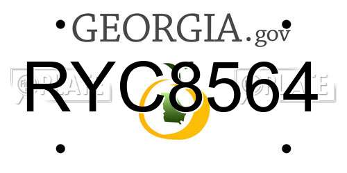 RYC8564 Georgia License Plate