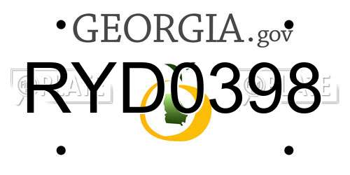 RYD0398 Georgia License Plate